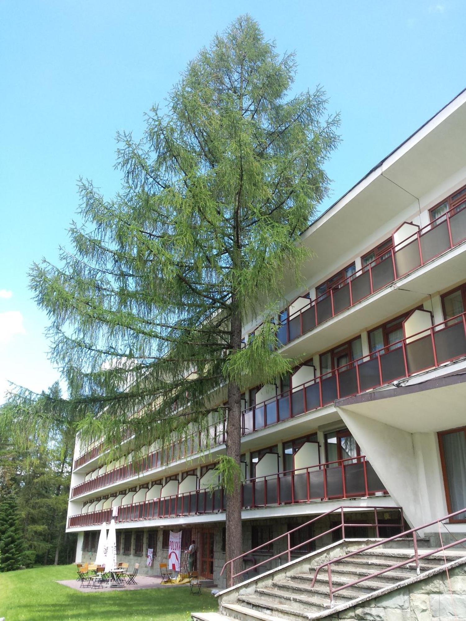 Geovita Zakopane Extérieur photo