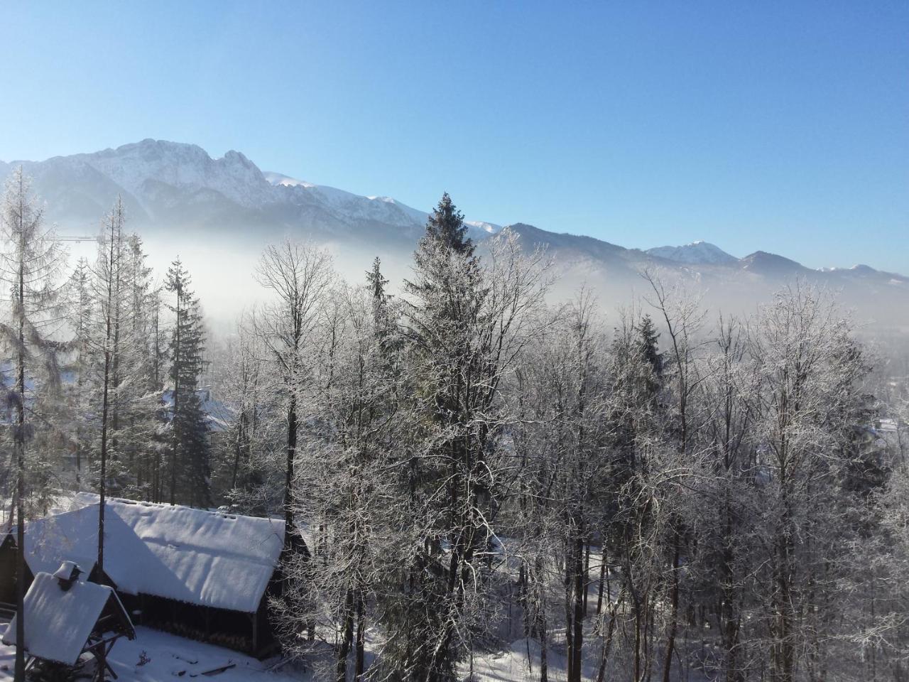 Geovita Zakopane Extérieur photo